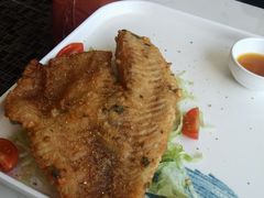 -Sultan pakistan苏单巴基斯坦