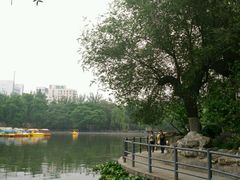 -莲湖公园