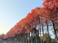 -柳鹭田园区