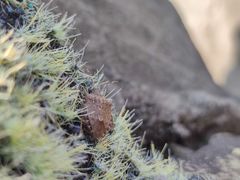 -幕燕滨江·长江观音景区