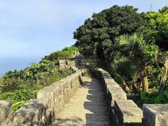 -海南铜鼓岭景区