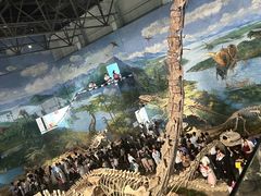 -自贡恐龙博物馆