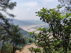 -铁山坪森林公园