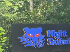 -夜间野生动物园