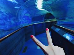 -厦门海底世界