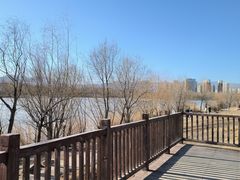 -野鸭湖国家湿地公园