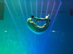 -芜湖新华联大白鲸海洋公园