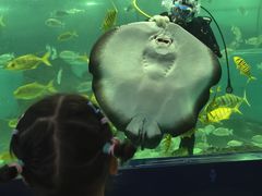 -苏州海洋馆