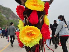 -陕西黄河壶口瀑布旅游区