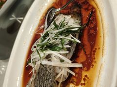 -大东海海鲜酒楼(渔人码头总店)