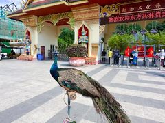 -西双版纳勐泐文化旅游区