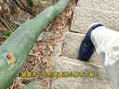 -梧桐山风景名胜区