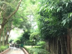 -铁路文化公园