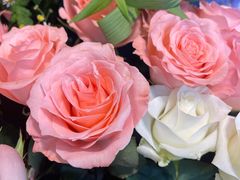 -爱尚幸福鲜花(上地实体店)