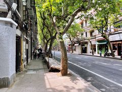 -熠盛粤味·顺德桑拿鸡(永康路店)