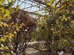 -北京鹫峰国家森林公园