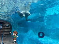 -珠海长隆海洋王国
