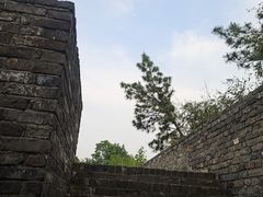 -水绘园