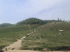-关山草原