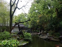 -南山植物园