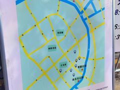 -嘉定紫藤园