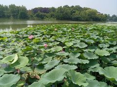 -云龙湖旅游景区
