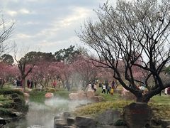 -无锡梅园公园