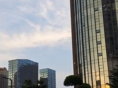 -广西体育中心-游泳馆