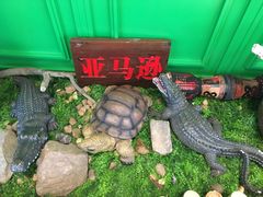 -亚马逊环球美食百汇(新城吾悦广场店)