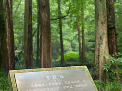 -虎跑公园