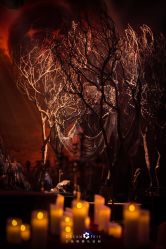 -三色锦婚礼定制