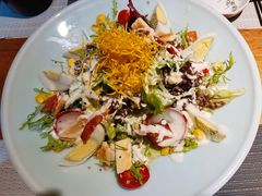 凯撒沙拉-森味薪火烧•烧鸟居酒屋•日本料理(望京店)