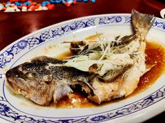 -聚春园自助餐厅(东街口店)