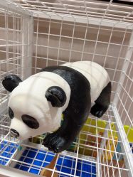 -卡通尼·Safari非洲探索乐园·生日会(金桥国际商业广场店)