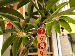 -本無咖啡·BeanWood Coffee