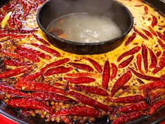 红白鸳鸯-骉骉老火锅(铁像寺路店)