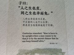 -青岛胶东国际机场