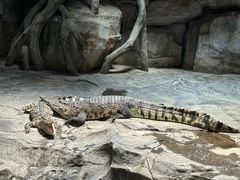 -泉城欧乐堡海洋极地世界