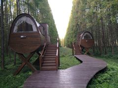 -黄海国家森林公园