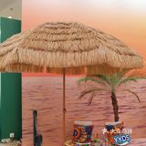 足不出沪|体验泰式风情