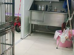 -福懋动物医院·犬猫全科·外科·重症科(杏林分院)