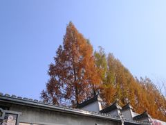 -塔川景区