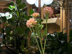 -一坐一忘云南菜(卓悦中心)