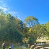 长沙周边竹林餐厅