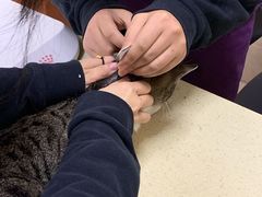 -艾贝尔宠物医院·狂犬免疫点(江山金象城店)
