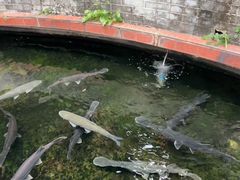-侠成水上农庄(工业大道店)