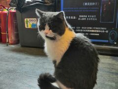 -机械师超级密室(小寨华旗店)