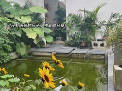 -漫笙舍Manse·咖啡·民宿