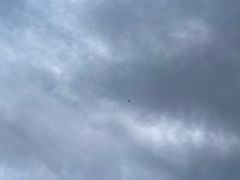 -演武大桥观景平台