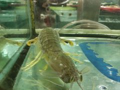 -班赞海鲜市场